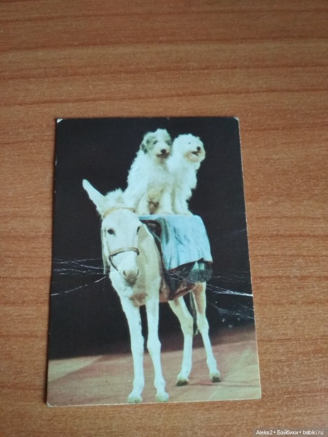 Мои карманные календарики Советский цирк из детства 8 часть (фото 7)