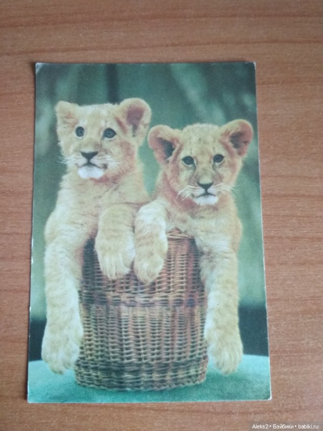 Мои карманные календарики из детства последняя часть