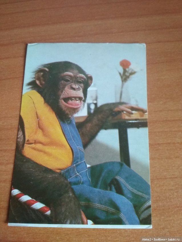 Мои карманные календарики из детства последняя часть