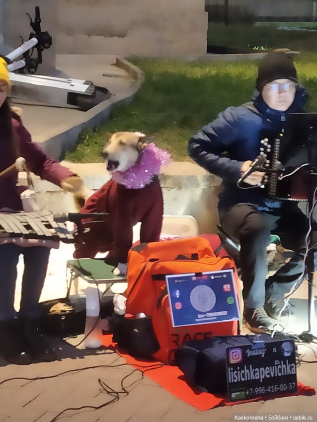 Лори, елки, Кисловодск — Куклы Lori (Лори): Battat