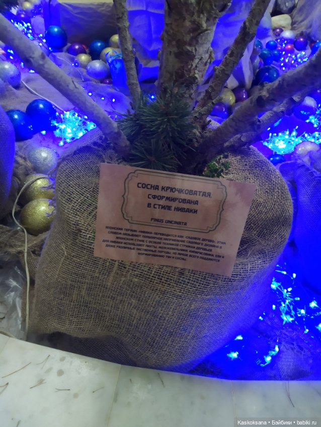 Лори, елки, Кисловодск — Куклы Lori (Лори): Battat