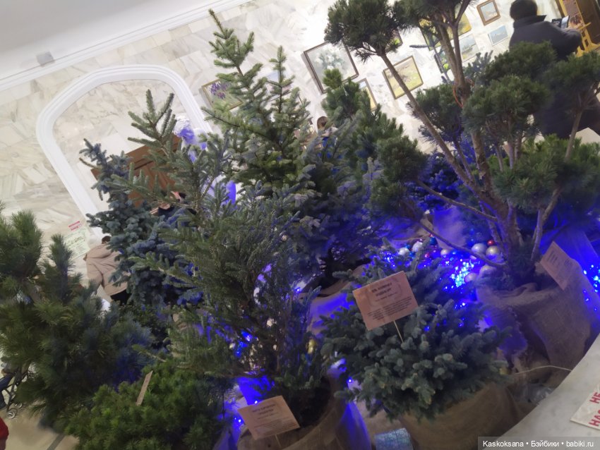 Лори, елки, Кисловодск — Куклы Lori (Лори): Battat