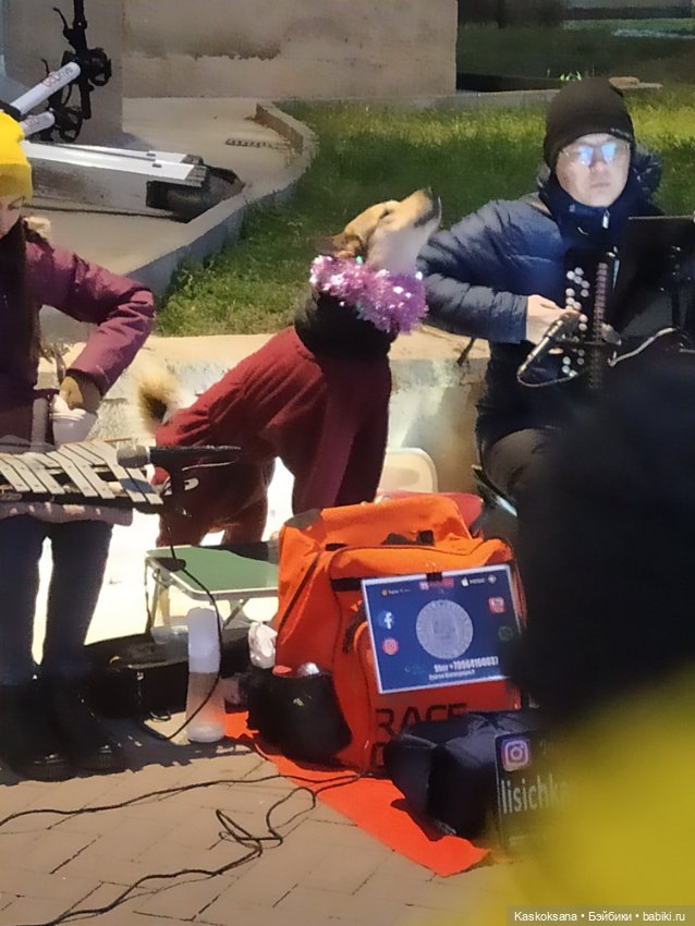 Лори, елки, Кисловодск — Куклы Lori (Лори): Battat