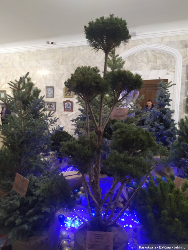 Лори, елки, Кисловодск — Куклы Lori (Лори): Battat