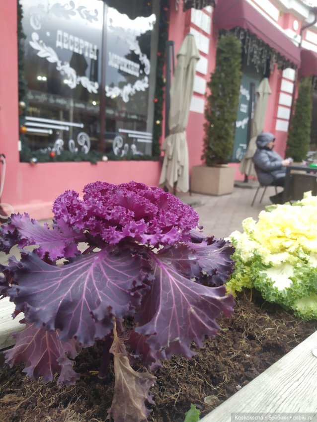 Лори, елки, Кисловодск — Куклы Lori (Лори): Battat