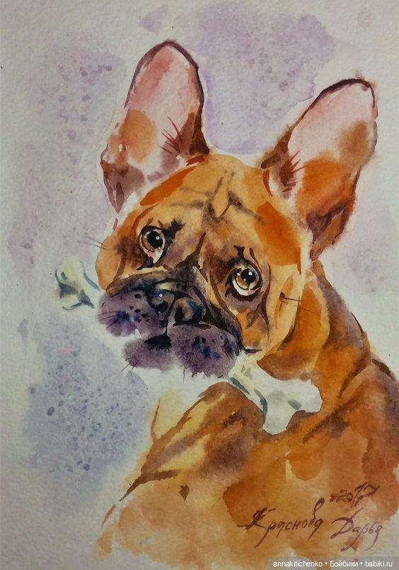 Много на свете различных собак - рисунки Дарьи Красновой