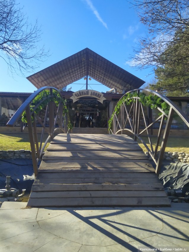 Солнце, сосны, Кисловодск