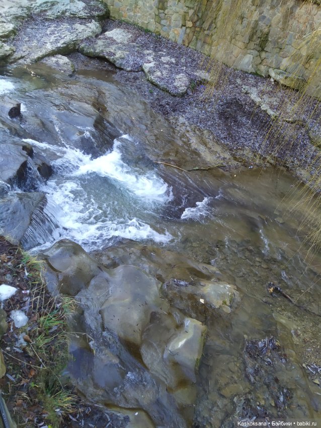 Солнце, сосны, Кисловодск