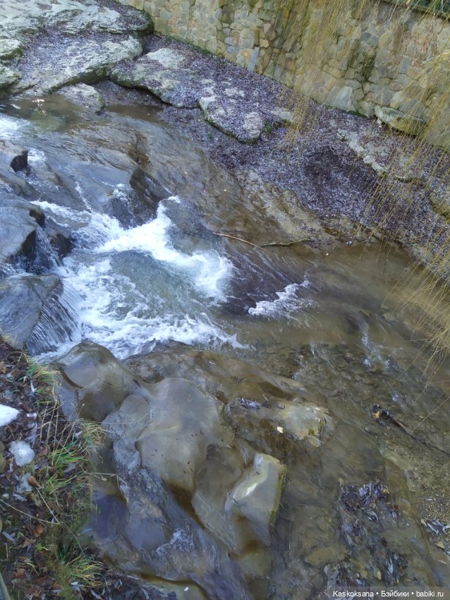 Солнце, сосны, Кисловодск