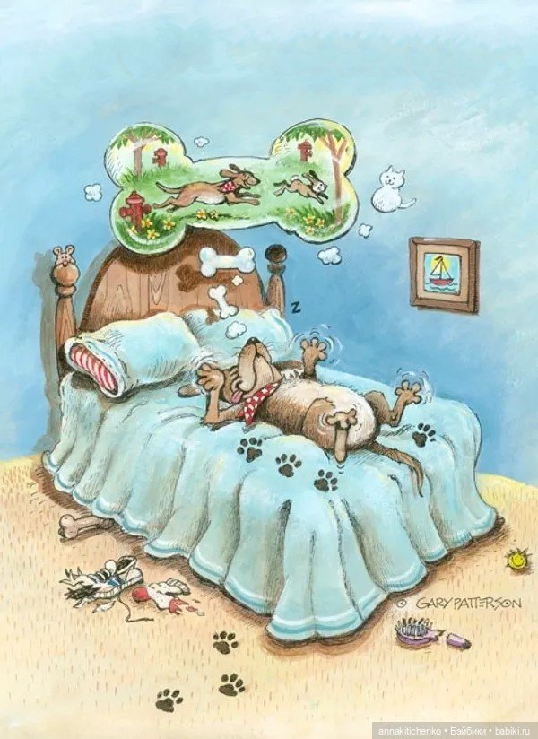 Создатель улыбок Гэри Паттерсон (Gary Patterson)