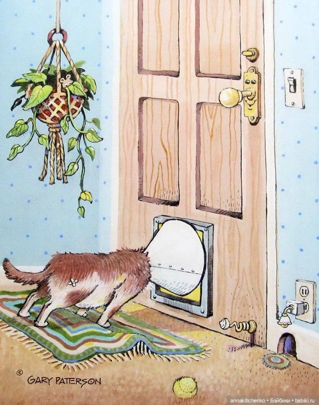 Создатель улыбок Гэри Паттерсон (Gary Patterson) (фото 3)