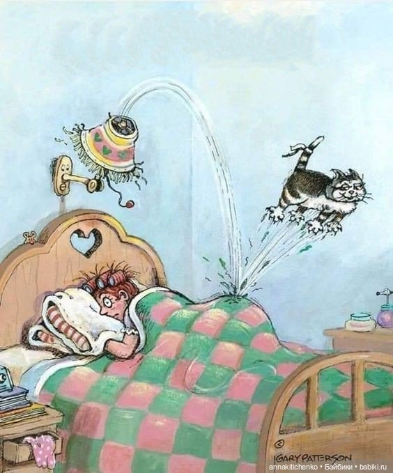 Создатель улыбок Гэри Паттерсон (Gary Patterson)