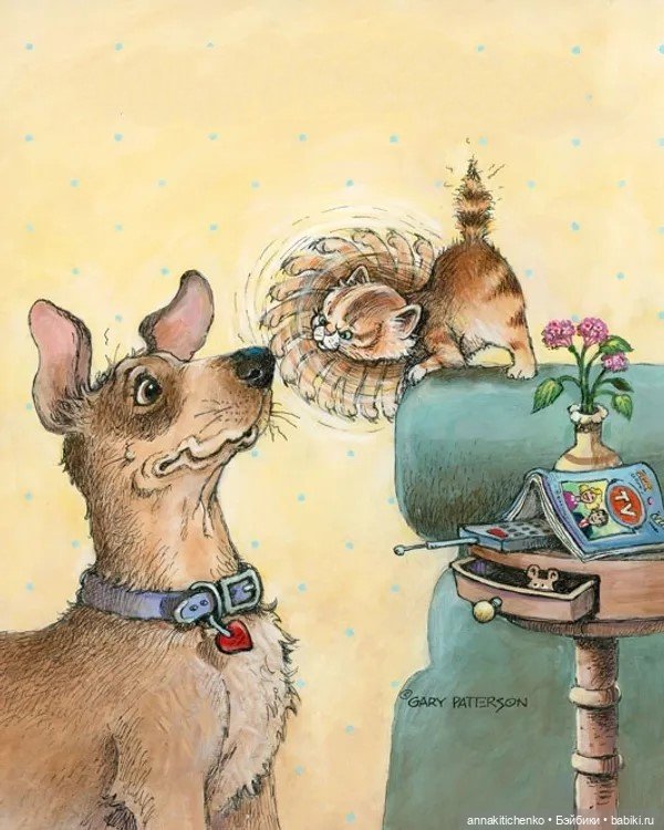 Создатель улыбок Гэри Паттерсон (Gary Patterson)