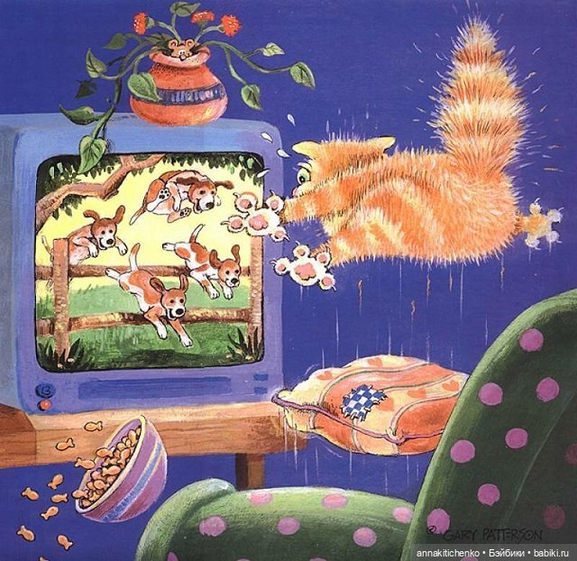 Создатель улыбок Гэри Паттерсон (Gary Patterson) (фото 9)