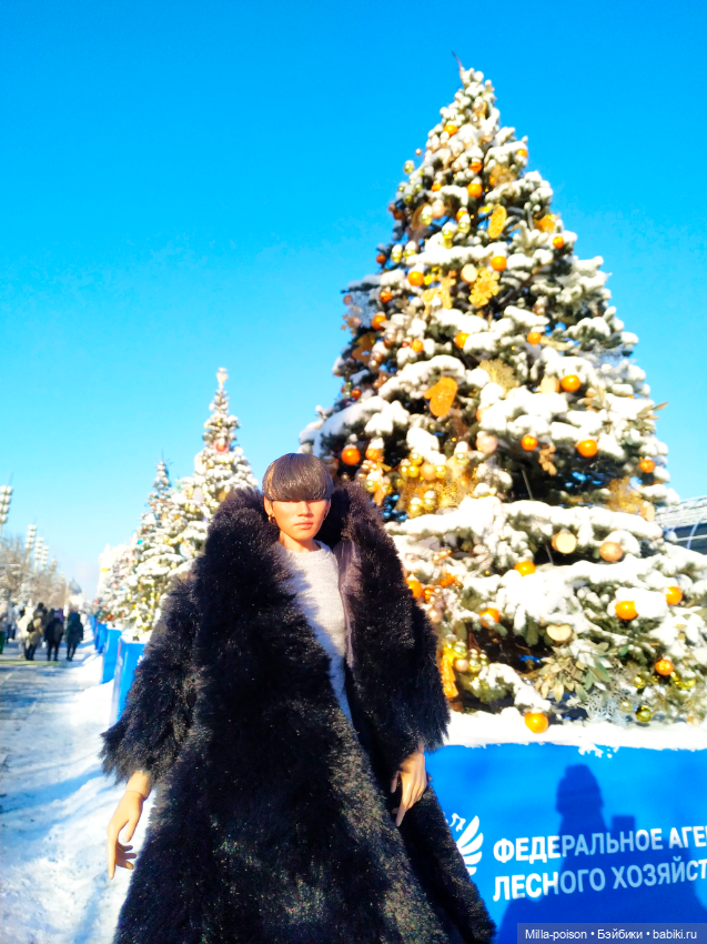 Рождественская прогулка Кан Дэсона