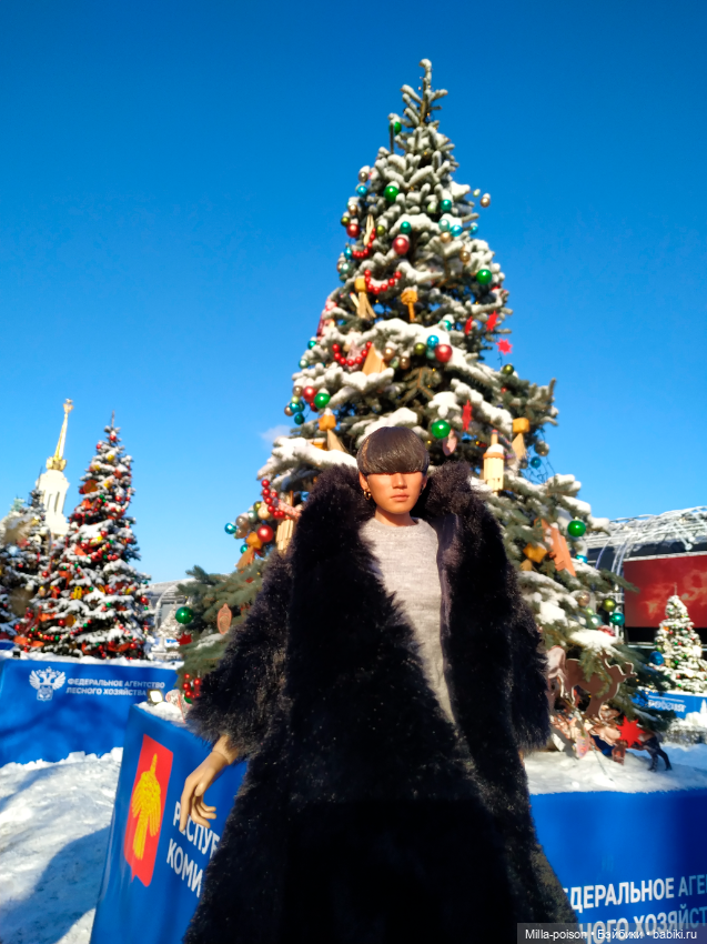 Рождественская прогулка Кан Дэсона