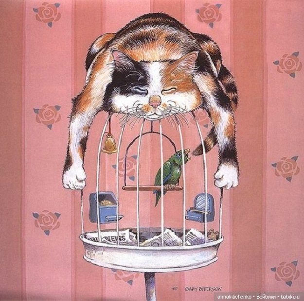 Создатель улыбок Гэри Паттерсон (Gary Patterson) (фото 8)