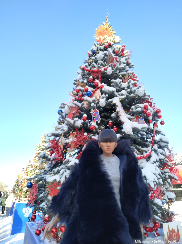 Рождественская прогулка Кан Дэсона