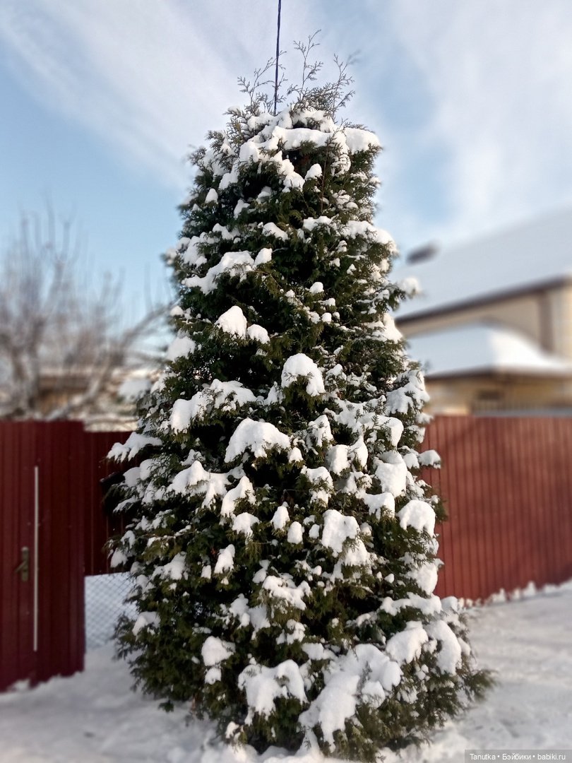 Морозное Рождество, или снова 390-й Марсель (фото 9)