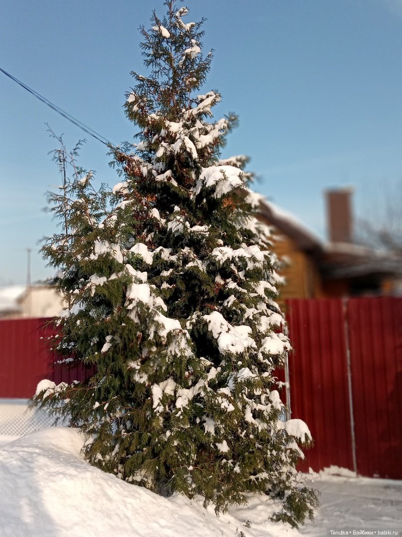 Морозное Рождество, или снова 390-й Марсель