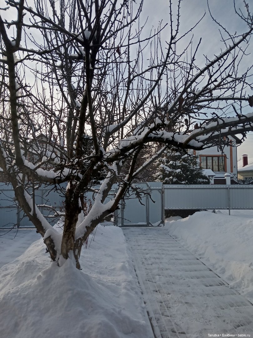 Морозное Рождество, или снова 390-й Марсель (фото 10)