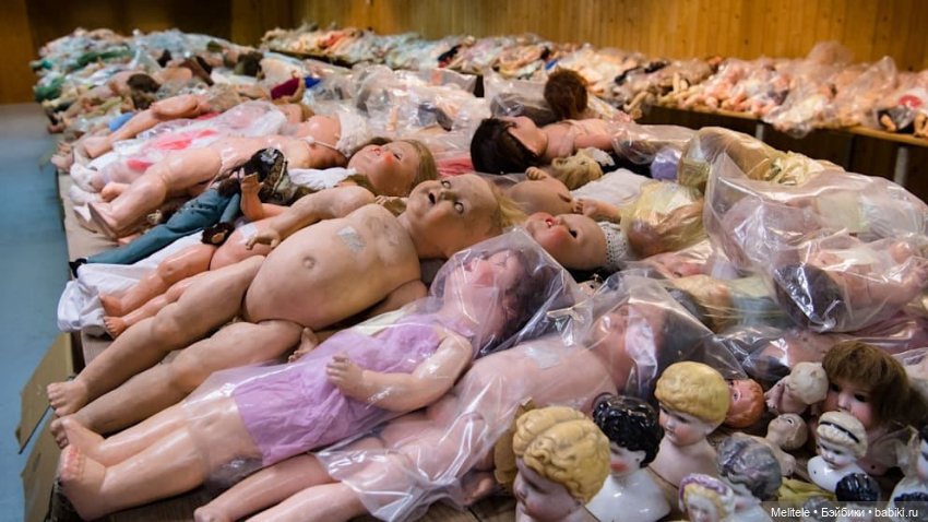 Частная коллекция — Домашние коллекции кукол: фото собраний