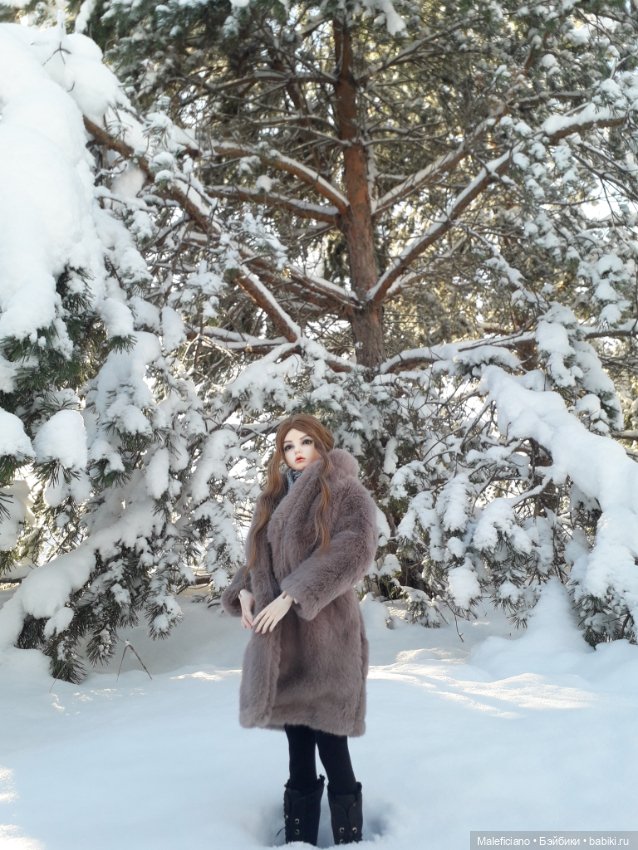 Мороз и солнце - день чудесный.... Эрика на утренний прогулке по зимнему лесу (фото 2)