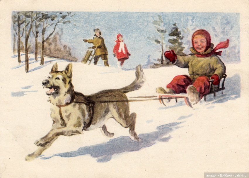 С Новым годом — Другие хобби и увлечения: сад