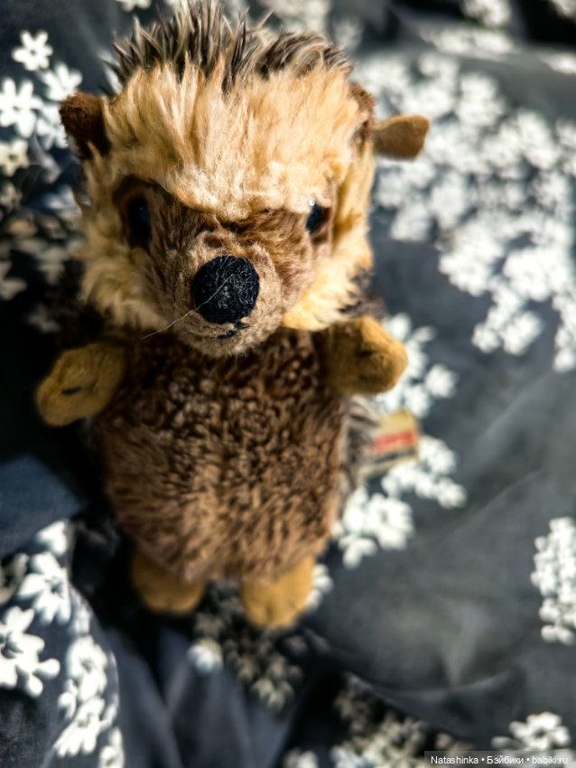 Музыкальная История 81 — Туризм и путешествия: фотоотчеты из поездок (фото 10)