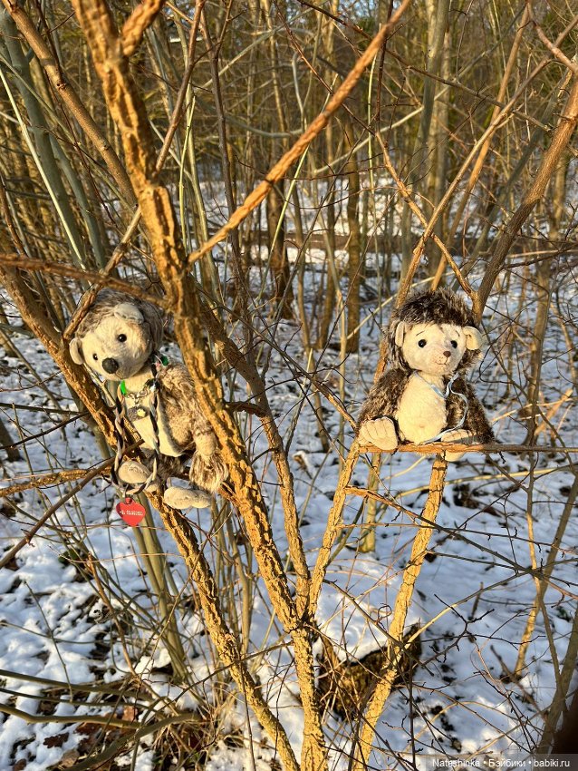 Музыкальная История 81 — Туризм и путешествия: фотоотчеты из поездок (фото 3)