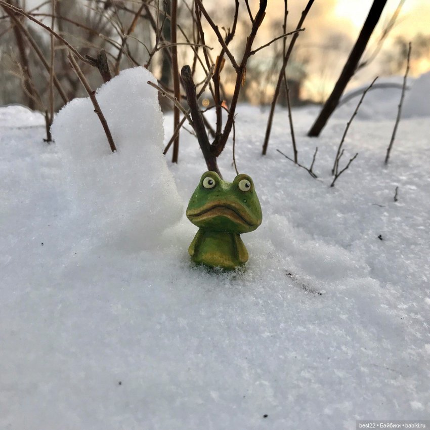 Жаб Андреевич — Домашние фото авторских игрушек: Тедди