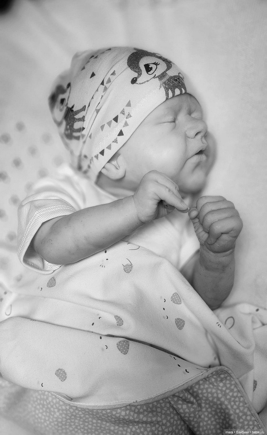 Aiden скульптора Melanie Gebhardt (фото 6)