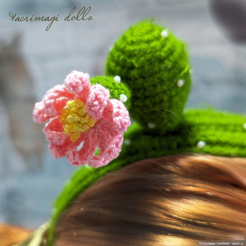 Жужа принцесса Кактусов — Одежда и обувь для кукол своими руками: фото (фото 9)