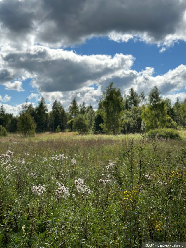 Последняя жена Синей Бороды (фото 6)