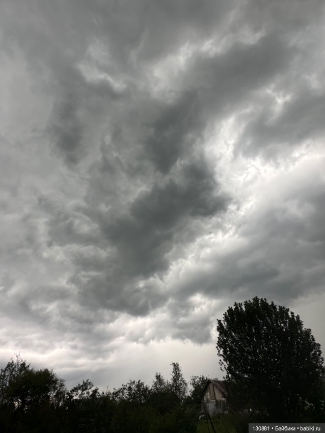 Последняя жена Синей Бороды