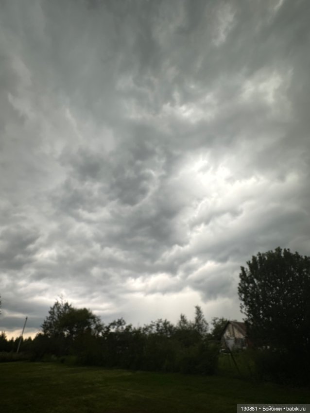 Последняя жена Синей Бороды