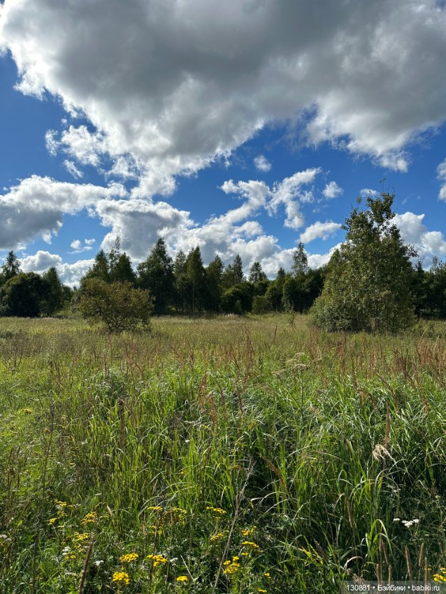 Последняя жена Синей Бороды
