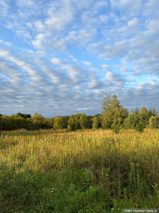 Последняя жена Синей Бороды