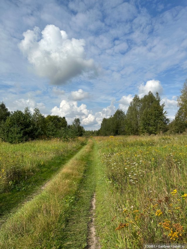 Последняя жена Синей Бороды