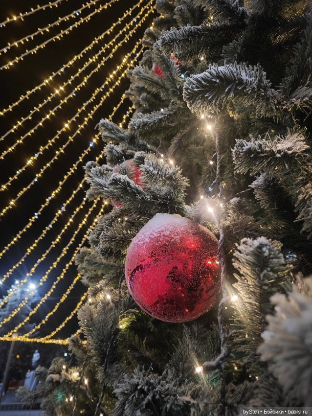 Ёлочка. Апатиты, Мурманская область (фото 7)