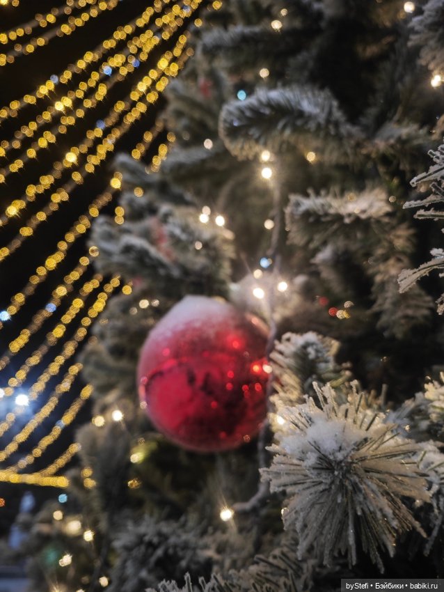 Ёлочка. Апатиты, Мурманская область (фото 2)