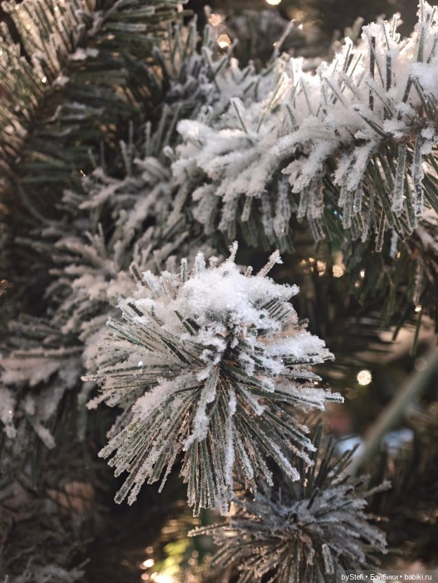 Ёлочка. Апатиты, Мурманская область (фото 5)