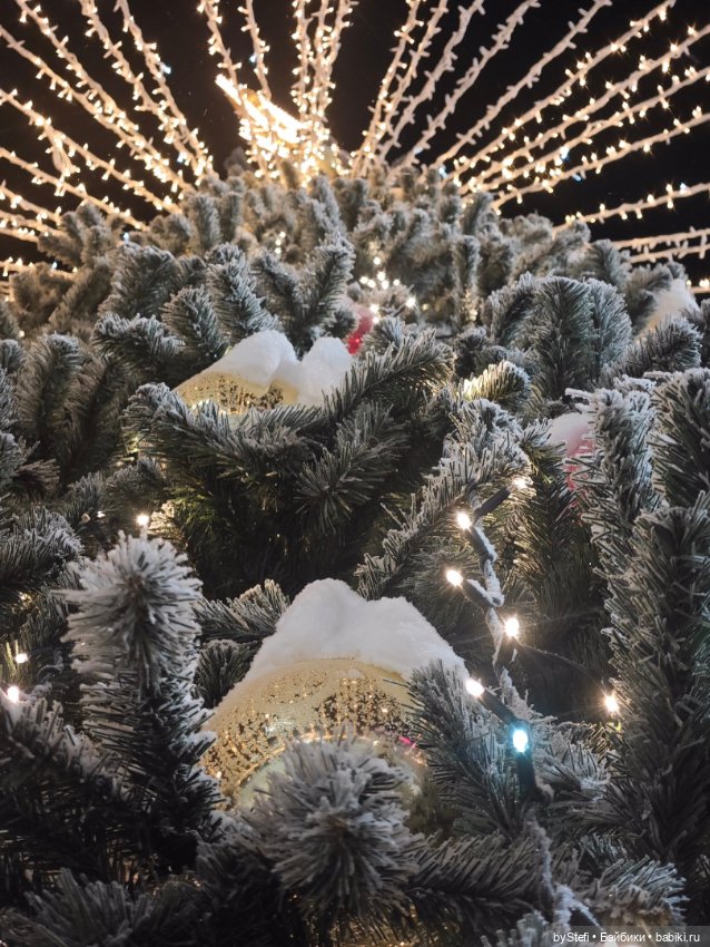 Ёлочка. Апатиты, Мурманская область