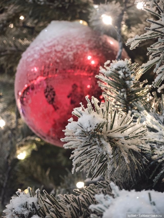 Ёлочка. Апатиты, Мурманская область (фото 4)