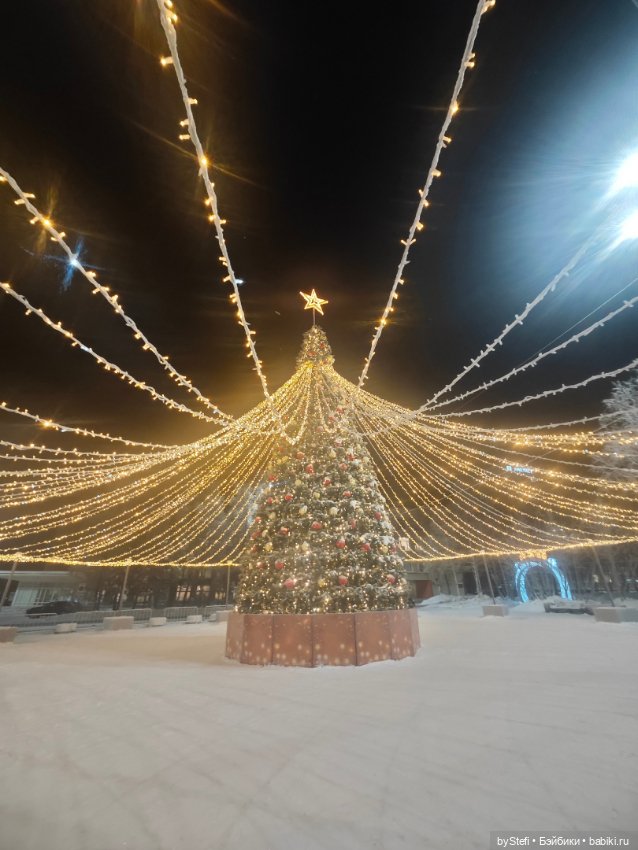 Ёлочка. Апатиты, Мурманская область (фото 10)