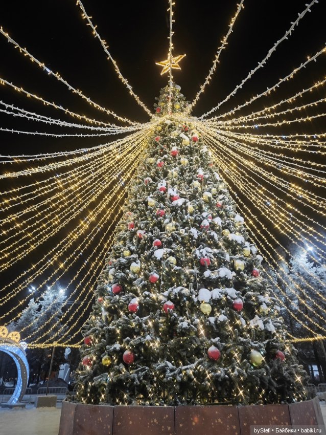 Ёлочка. Апатиты, Мурманская область (фото 9)