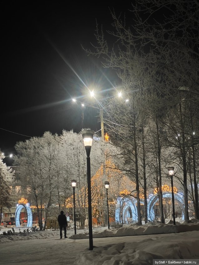 Ёлочка. Апатиты, Мурманская область (фото 8)