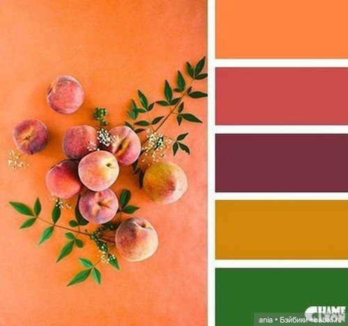 Сочетание цветов — Сочетание цветов: палитры для одежды и интерьера