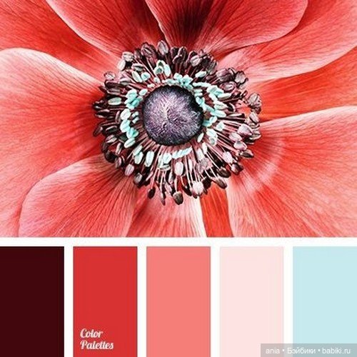 Сочетание цветов — Сочетание цветов: палитры для одежды и интерьера