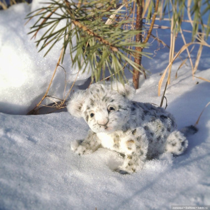 Малыш барс. Сибирское утро
